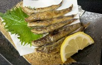 高知へ来たなら…県外から高知へ来られた方は是非。