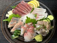 当店では季節に応じて、高知近海の様々魚介を提供しております。可能な限り、様々な魚種をご提供できるようにしておりますが、季節や天候により魚種が少ない場合もございます。その際はご理解くださいませ。