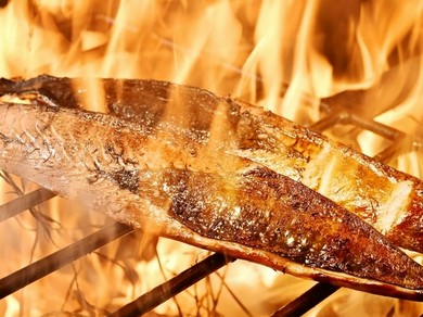 〜鰹の焼き切り〜