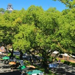 高知城へと続く追手筋という道路の片側車線を使って、毎週日曜日に開かれるのが日曜市で300年以上人々の暮らしと共に生きてきました。
終日開かれる青空市としては日本一のスケール。約300店が軒を並べています。