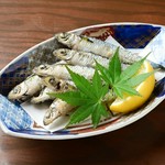 漁師だけが知っていたホントにうまい魚。
油で揚げるとこのウロコが逆立ち、サクサクとして非常に良い食感になります。