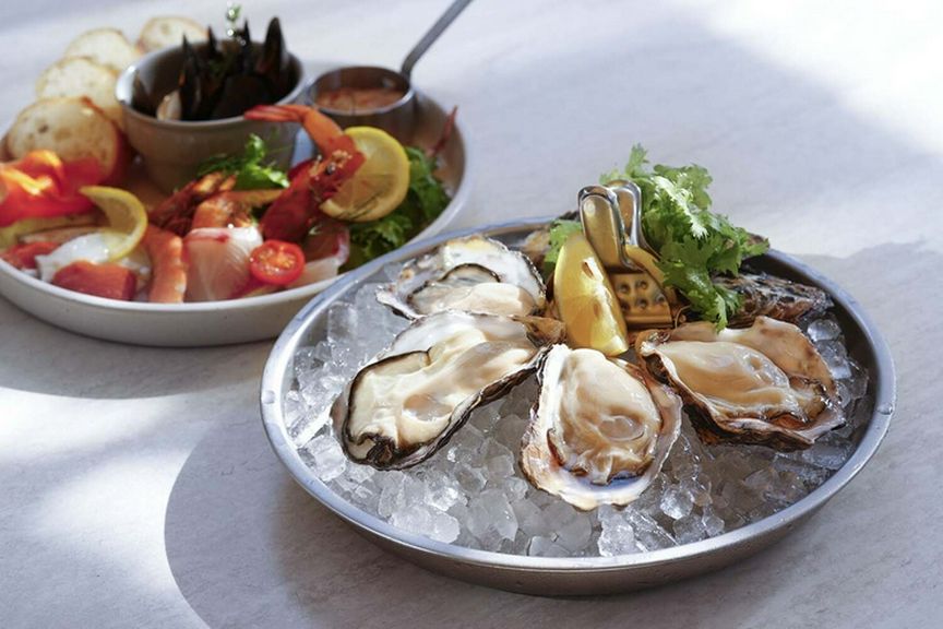 大切な日の特典あり。新鮮牡蠣と共に祝う特別な日