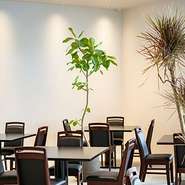 肩ひじ張らずカジュアルに。清潔感のあるイタリア料理店