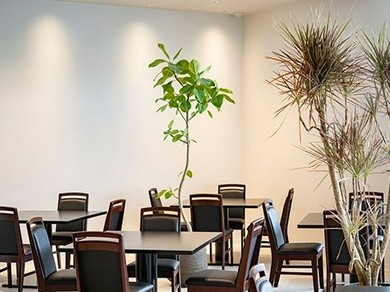 肩ひじ張らずカジュアルに。清潔感のあるイタリア料理店