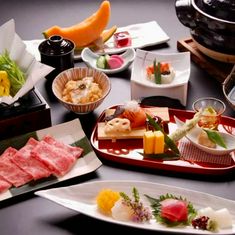 Washokukyodoryorisaryotokugawameiekihontei