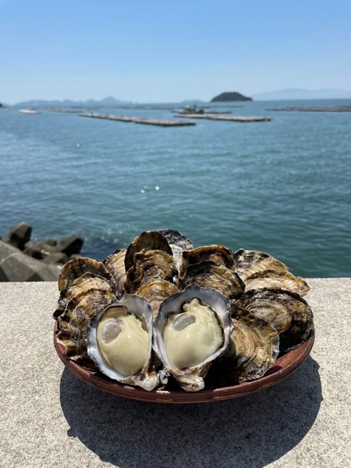 旬の食材にこだわっている