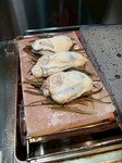 仙鳳趾牡蠣を釧路市昆布森の昆布と岩塩焼き
ぷりぷり牡蠣と昆布の香りと塩味をご堪能下さい