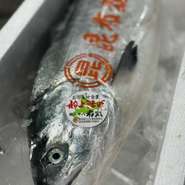 北海道釧路市昆布森 