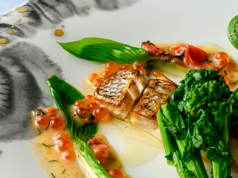 日本の四季が生み出す、素晴らしい食材たち