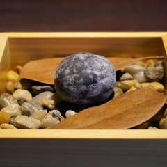 料理とアートの融合に、目で驚き舌で感動