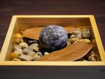 料理とアートの融合に、目で驚き舌で感動