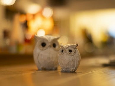 心温まる料理と共に、相手に好印象を与える接待に