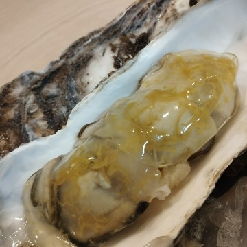 肉魚菜おまかせコース