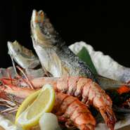 厳選された季節の魚を豪快に焼き上げる『原始焼き』が自慢のお店。時期や仕入れによっても異なる味わいを楽しめます。カウンター越しに焼き上げの様子を眺める臨場感も見応え抜群です。