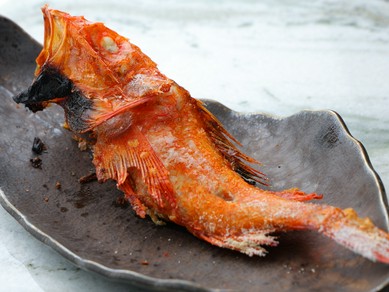 一本まるごと、旨みの極み。市場直送の鮮魚を豪快に一本焼きで『市場直送　本日の魚一尾焼き』