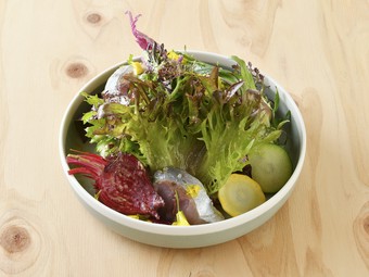 元気がでるおいしさ！重層的な美味と調和で魅せる『サラダ』