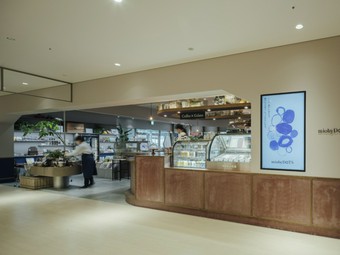 広島の豊かな食材に、料理人としての探求心を息づかせる