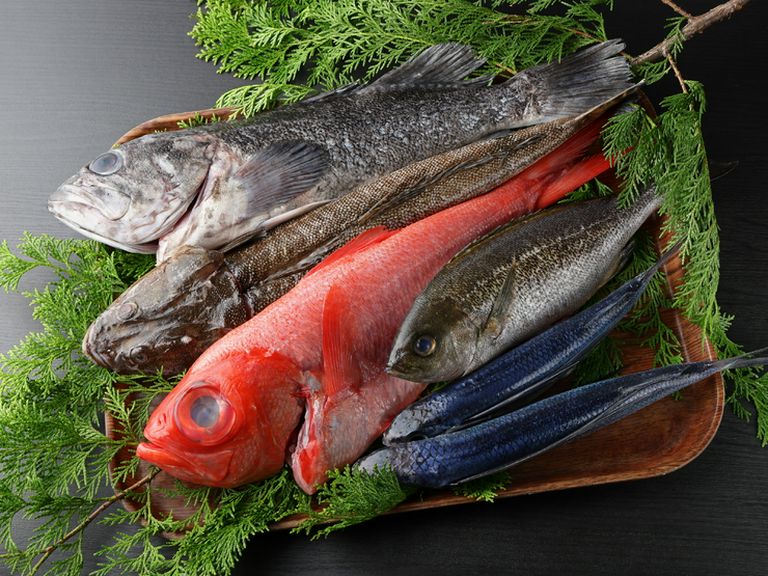 朝どれ鮮魚の炉端焼きに、刺身、一品料理と旬満載