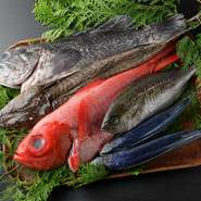 産地直送の朝どれ鮮魚を活かした炉端焼きをはじめ、多彩な旬の料理が自慢のお店。刺身や一品料理も各種豊富に取り揃えており、日常を楽しい食の一時で彩ってくれます。