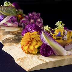 岩手の海の景色をシャーレにとじこめた一皿　『Vista　ジオラマ』