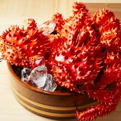 信頼する仲買から届く、旬の鮮魚や産地直送の希少な地魚たち