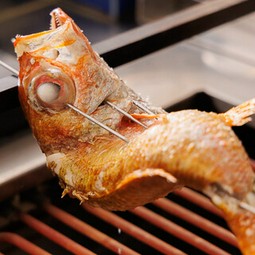 お造りや焼き物を楽しむプラン