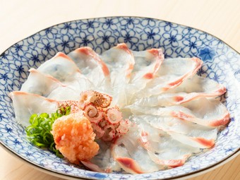 日本海と瀬戸内海、二つの海が育む魚介で彩る『旬魚のお造り』