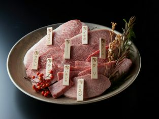 Hidagyuittoyabakuroichidaikitteosaka