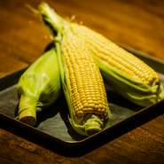 もともとお客様だった生産者から取り寄せる長野県のゴールドラッシュなど、日本各地から食材を厳選。日本の野菜や果物などが持つ甘みを、辛みや酸味を活かすメキシカンに重ねることで新たな魅力を見出します。