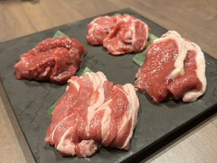 Shiipudotto