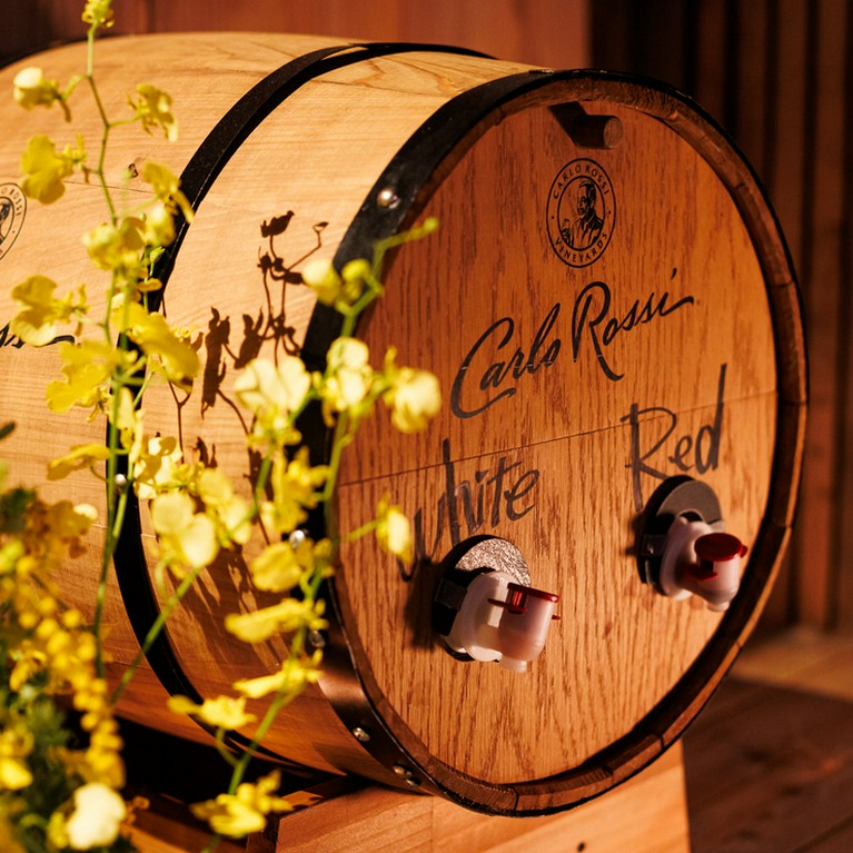 飲み放題付きコース