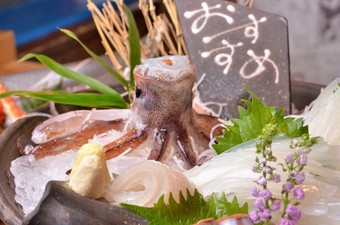 透き通る身が証明する、とれたての鮮度と確かな旨み『活イカ』