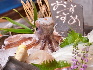 透き通る身が証明する、とれたての鮮度と確かな旨み『活イカ』