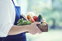 食材は地元である福岡県をはじめ、九州を中心とした各地の旬の食材を用意。鋭い感性と視点で見極めた食材をふんだんに盛り込み、九州ならではの季節感ある一皿を提供しています。