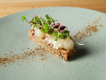 驚きの美味！ポルチーニ茸の風味が活きる『富山海老のタルタル』