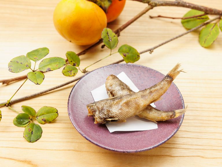 季節の食材たちが紡ぐ一期一会のコース