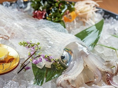 ≪オススメ≫イカの活き造り～唐津呼子産直送