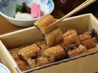 和食堂 山里では、脂の乗ったうなぎをじっくり炭火で地焼きし、皮はパリッと焼き上げ、身はふっくら仕上げます。
上(一尾・8切) 8,200円
【内容】うざく、蒲焼、肝吸、御飯、香の物、デザート