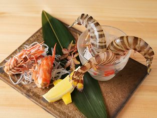 Kappofujitsuka