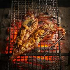 日本が誇る極上素材。産地直送の天然伊勢海老を多彩な料理で堪能