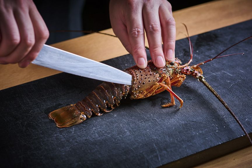 最上質な伊勢海老を産直仕入れ。銘柄肉、季節の高級食材も充実