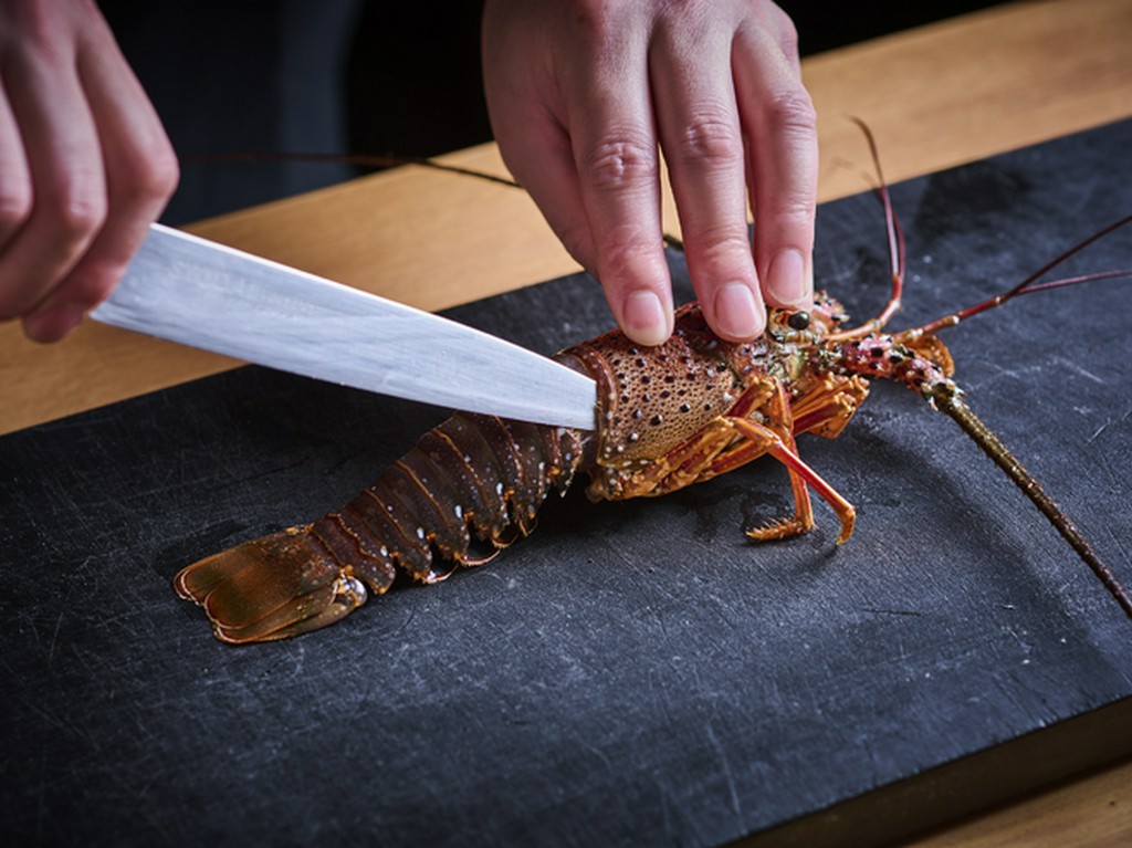 最上質な伊勢海老を産直仕入れ。銘柄肉、季節の高級食材も充実