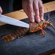 天然モノ100％の伊勢海老を安定供給するため、三重県紀伊長島、神奈川県三崎、高知、長崎など全国の産地と絆を結び、折々の最上質品を直送仕入れ。鮑や雲丹、黒毛和牛やブランド豚、秋の松茸など旬食材も豊富です。