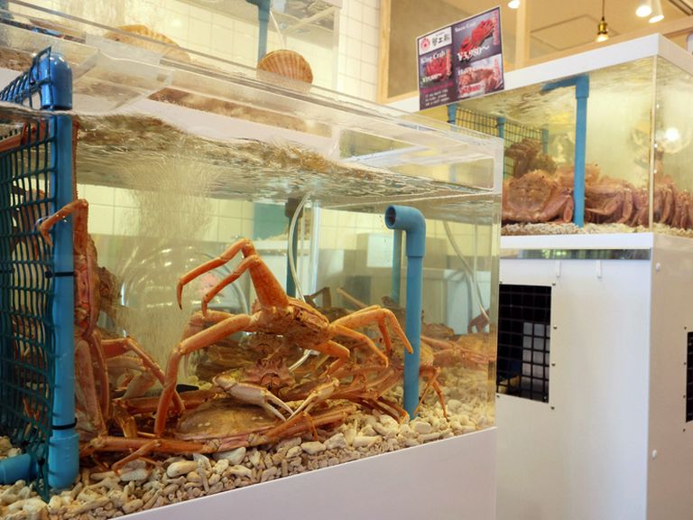 鮮度バツグン。店内に設置された、大型生簀から届く「活蟹」