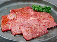 とても柔らかく脂も程良く入っており牛肉本来の旨みを味わえる。