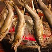 じっくりと焼き上げる炭火焼きは、旬の魚が持つ旨みを余すことなく引き出す一品。丁寧に火入れすることで、皮目は香ばしく、身はふっくらと仕上がる。季節ごとに変わる食材との出合いを、日本酒や焼酎とともに。