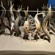 福岡糸島の新鮮な魚介をはじめ、本場博多の味を凝縮。そして鮮度抜群の新鮮な食材を活かした調理。