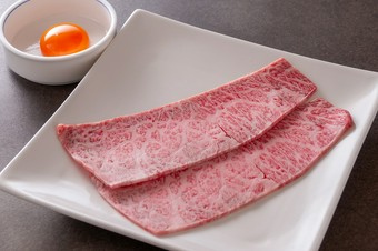 【数量限定】おすすめNo.1！サブスキ