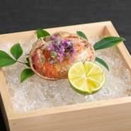 和モダンの意匠が美しいカウンター席は、1名様の予約も大歓迎。料理人の調理技、食材や料理の話などに憩いつつ、季節の会席を自分のペースで堪能できます。紀州一人旅のグルメスポットとしても、とっても重宝！