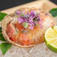 その時季ならではの高級食材も続々登場。写真は『セコガニの酢の物』。